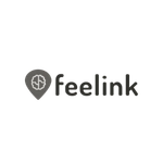 fellink-logo